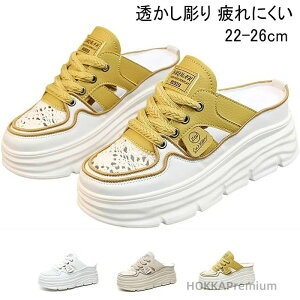 yzfB[X ƂȂV[Y Xb| ʋC ₷  ɂ r y ėp ItBX h ʋ ʊw s   ؍