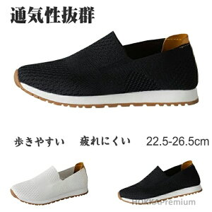 yzK oRC X|[cV[Y V[YXj[J[JWA NbVtďHC iyʒɂȂVvȂ AEghAX|[c GzDʊwʋ