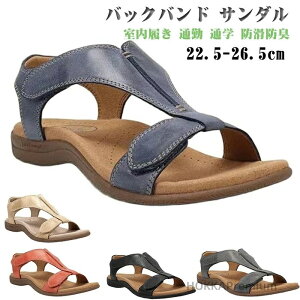 yzT_ r  Ȑ A[`T|[g ʋC yʃEH[LO ₷ t@bVT_  ʋ ʊw hhL }bT[W@\  lC 䟭