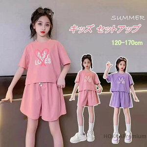 yzLbY WjA ̎q  ZbgAbv  ؍ q  pcZbg K[Y TVc V[gpc X|[cEFA  [EFA ĕ ㉺Zbg