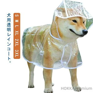 yzCR[g ybgpJbp J Jbp ^  C|` |`^ hbOEFA CEFA S t[ht Xqt 