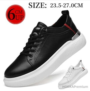 yzV[NbgV[Y Xj[J[ Y {v 6cmUP gAbv [XAbv  JWAV[Y l w ʊw ʋ ɂ₷ C ^\͂悢