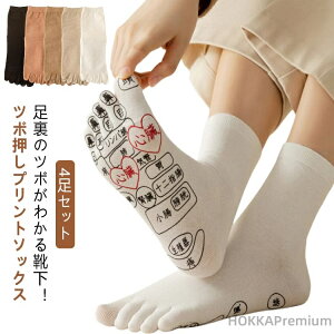 yzܖ{w c{C Y  \bNX ˋ 4Zbg vg c{\bNX c{₷ c{C fB[X ڃ}bT[W 