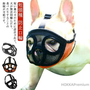 yz  Z ̃}Y J h~ EH~ ݃OZ  Z Z@̌ ̌ ʖi }XN bV  ݃OZ