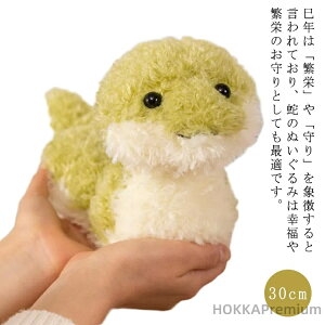 yzN ʂ 킢  NbV   ̂TCY ւ ւ   N ul` ւʂ N {A _炩 CeA N