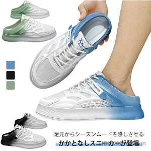 yzT_ ƂȂ [XAbv Y Of[VJ[ r[` y Xbp    t C ʋC  y Xj[J[ ƂȂ O