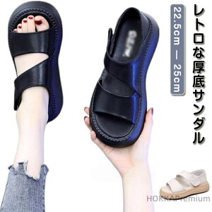 yz₷ 5cm gȌT_ T_ EH[LOV[Y ~ yʐ݌v Od L ʋC JWAV[Y t  Od fB[X lԍHw