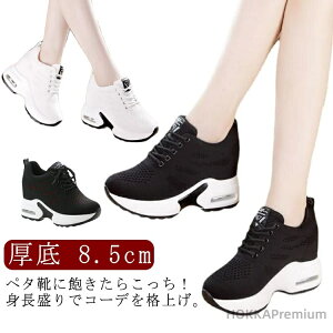 yz  C\[Xj[J[  Xj[J[ Xj[J[ y Xj[J[  Xj[J[ fB[X 