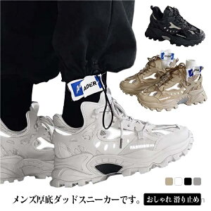 yzC ~ ₷  Y X|[cV[Y _bhXj[J[  Xj[J[ \[