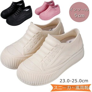 yzXj[J[ CV[Y fB[X Sh Jp C JC JWA h PVC CV[Y Xj[J[  h ɂ  ₷ n