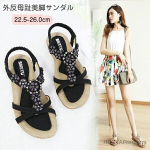 yz_ fB[X ₷ r O ɂ JWA Sn O r[`T_ y ʋC  K Ȃ C s C r[`T_  wZ