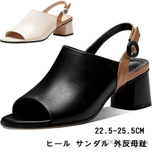 yzq[ T_ OA`L[q[ T_   5cm ẴU[`L[q[T_ nCq[T_ yʂŕ₷ɂ