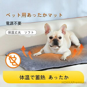 yz}bg ybgp zbg }bg ~p dsv R[hX  L p Lp ^p 炩 }bg \tg ̉Œ~M  ΍ h ~M @ ې 