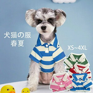 yz ybg ybgEFA  |Vc t Ă̌ JWA ^ ^ L ˂ TVc ` pO ߑ ̕ ۉ h J Oh єی XS~4XL 4F