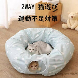yz˂gl Lbggl Lxbh  Lbg Lgl lR̐Q ^ 킢 NbV ܂肽 [֗ 􂦂  2WAY LV ^s