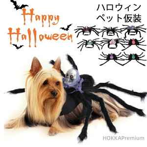 yzRX`[  L RẺH nEB ybg L RE  fR[V ʐ^ w  ϐgObY nEB ^ ybg