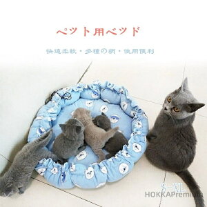 yzybg̑  g h  L [X̑ L  Q鑃 Lp}bg Q  xbh Lpxbh ybgpxbh ~