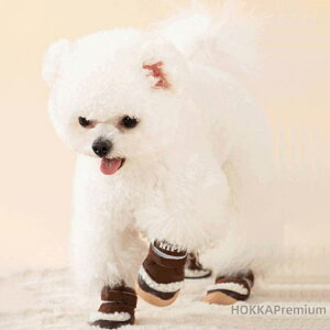 yz~ C hbO C hbOV[Y ₷  g  4Zbg ybgpC {A p ~p