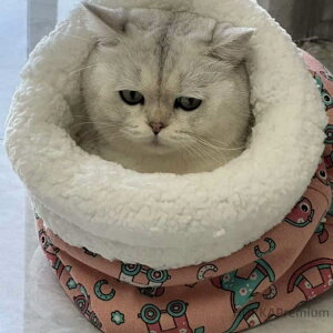 yzLbgnEX  ybgp 􂦂 Q ^ H~ Lp Lxbh Lzc ybgxbh ybgzc