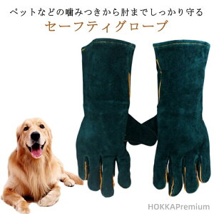yzZ[teB  O[u ݂h~ ybg ybgO[u ݂h~ ybgO[u