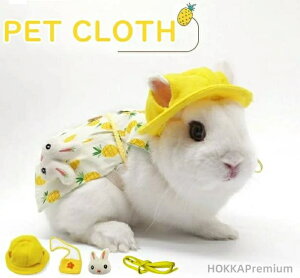 yzʕ p opn[lX U p   bgp n[lX z[hbv  