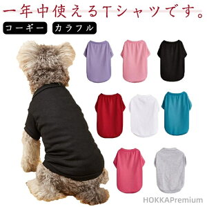 yzJt fC[ pO _bNXth R[M[  Vv n t`uhbO ^ ^ TVc t ĕ