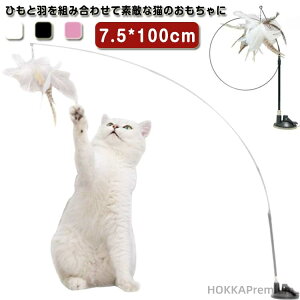 yze qL L Lp  L炵 L̂ H_t L炵 LI` ˂ zՎ L^s΍