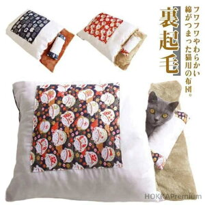 yzybgpQ NbV }bg ybg  Q L xbh   N L  ӂƂ ybgxbh xbh