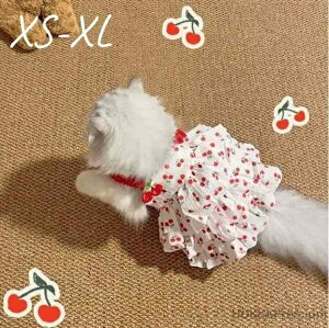 yz tėp Pl s[X XJ[g hX t   ^Lm ʋC  ybg LOBe [΍