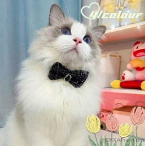 yz L   ̎ L  킢 L̎ LL ^ ^ ^ ^ Lp q qL S { `FbN