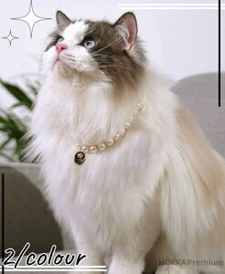 yzybg ANZT[ hbO p lbNX  `[J[  L ^ ^ 킢  gCv[h `