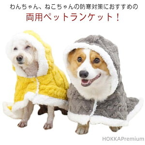 yzybg}g ѕz ѕz H~  }g  hbOEFA uPbg ybgJo[ L  {A ybg g L 킢 pPbg h Q