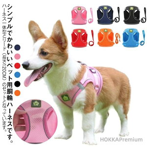 yz킢 M ^  ^  SȂ   n[lX[hZbg p Ȃ  胍bN