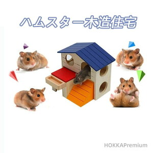 yznX^[ nEX nX^[ P[W p  ؐ ʔ lnX^[P[WVя 2wQ ؐ