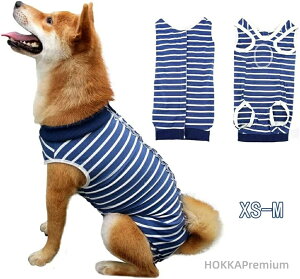 yzp  pEFA ی앞 {^^Cv 앞 sDp IX ی 畆ی D rߖh~ Yp ^