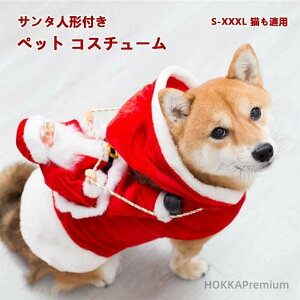 yzU lR Ck L ԑ  RX`[ T^N[X ^ T^l`t L RXv giJC NX}X T^