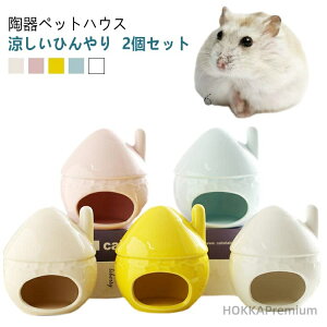 yz H  nEX  ~j  h[t nX^[xbh t[h{E GTM 2Zbg  悯