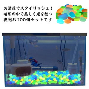 yz100Zbg Ȃ   Ӑ       ~  ȃGl ~ ԕr C~l[V