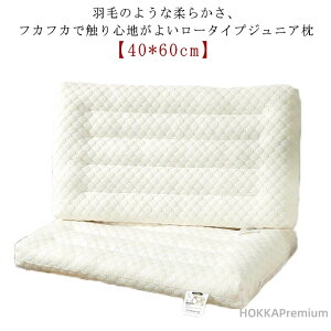 yz_炩 }N [^Cv  ŃT|[g  LbY ^ ܂ 40*60cm  Ⴂ  ʋC тh~  