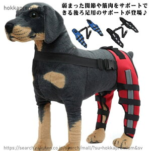 yzp ֐߃veN^[ G T|[^[  p ֐߃veN^[ 둫 p G T|[^[ 㑫֐ߕی yA Œ EZbg 