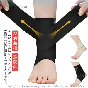 yzqp lp  p T|[^[ Ep  P qǂ ×p T|[^[ ̍b Œ X|[c x[W ubN e[sO ֐  ی