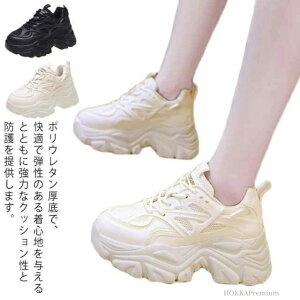 yzN C nCLO Xj[J[ Xj[J[ q[Xj[J[ fB[X hn 5cm {A Xj[J[