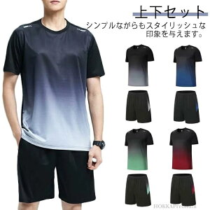 yzZp W[W TVc Of[V ڐG⊴ ㉺  ㉺Zbg ZbgAbv Y  fB[X 