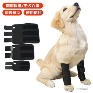 yzT|[g ybg  O ֐߃veN^[ ֐߃T|[^[ T|[^[ p  GT|[^[ pGT|[^[ 2Zbg