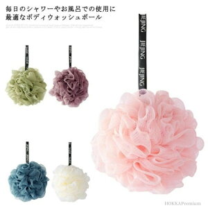 yzw ɗD C{[ Aălbg bV V[{[ 5Zbg {fBX|W {fBEHbV{[