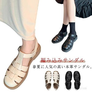 yz؂ Ol܂ Xbp  T_ fB[X Xgbv OJT_ 傫TCY EFbW\[