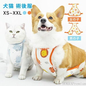 yzybgE ی 畆  ی rߖh~ p Dp  Lbg jp  pEFA p㕞  L
