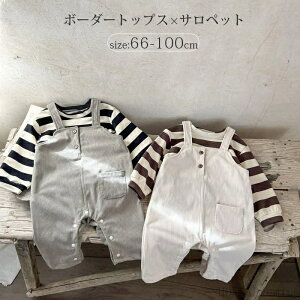 yzJ Ȃ I[C Ԃ 100 90 80 73 66 gbvX {[_[ tVc xr[ p[X Tybg xr[