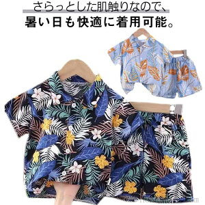 yznCA  qǂ ̎q ㉺Zbg  j̎q q xr[ Vc gbvX LbY AnVc ǂ