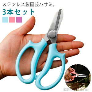 yzK[fjOn ΂ }؂ A ϗt ԃnT~ |p K[fjO Ԑ؂΂ ԋ Ԃ΂ nT~ | 3{Zbg